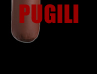 pugili